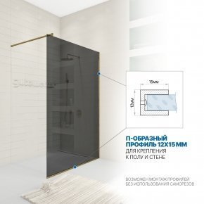 Инфографика 3 WALK-IN P008STB бронзовый стекло графитовое