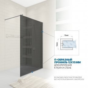 Инфографика 3 WALK-IN P008STB хром матовый стекло графитовое