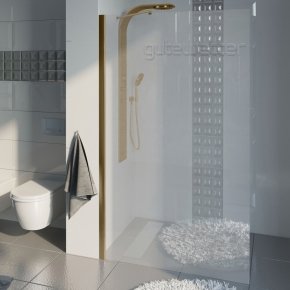 Душевая перегородка TREND DOOR GK-861NAP