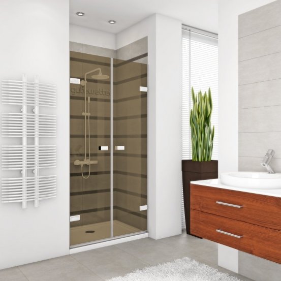 Дверь в душевую нишу TREND DOOR GK-862