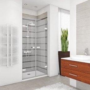 Дверь в душевую нишу TREND DOOR GK-862