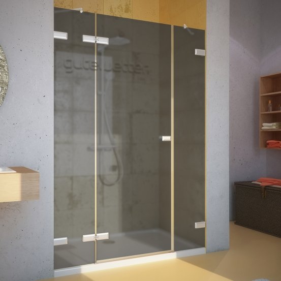 Дверь в душевую нишу TREND DOOR GK-863