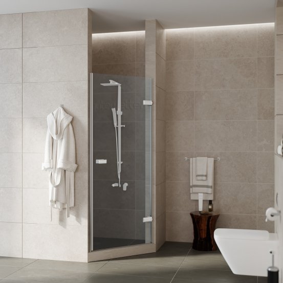Дверь в душевую нишу TREND DOOR GK-861G135