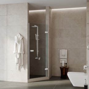 Дверь в душевую нишу TREND DOOR GK-861G135