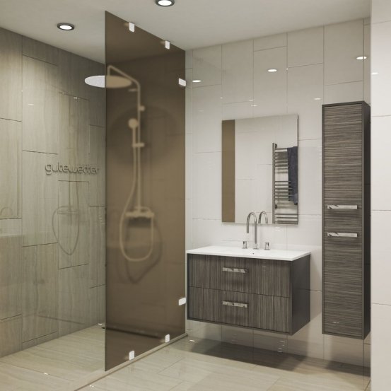 Душевая перегородка TREND DOOR GK-861NBZF