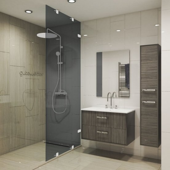 Душевая перегородка TREND DOOR GK-861NBZF