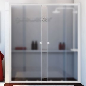 SHAPE DOOR GK-864 белый матовый стекло матовое