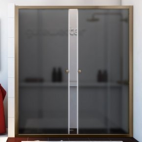 SHAPE DOOR GK-864 бронзовый стекло графитовое матовое