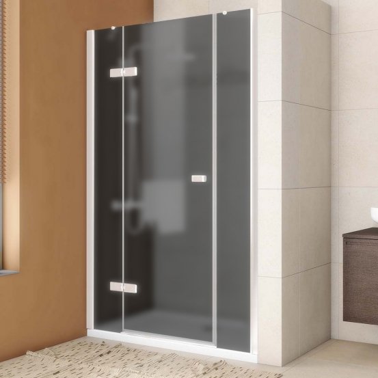 Дверь в душевую нишу TREND DOOR GK-863P